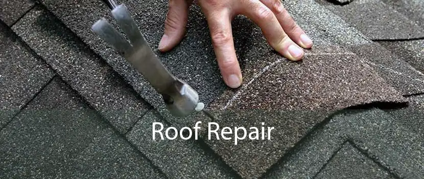 Roof Repair 